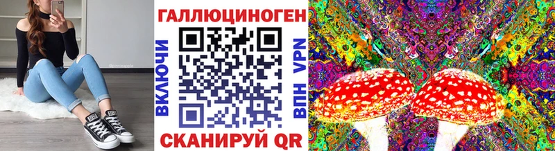 Галлюциногенные грибы MAGIC MUSHROOMS  наркотики  Тара 
