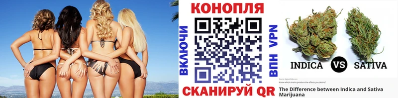 где продают наркотики  Тара  Бошки Шишки VHQ 